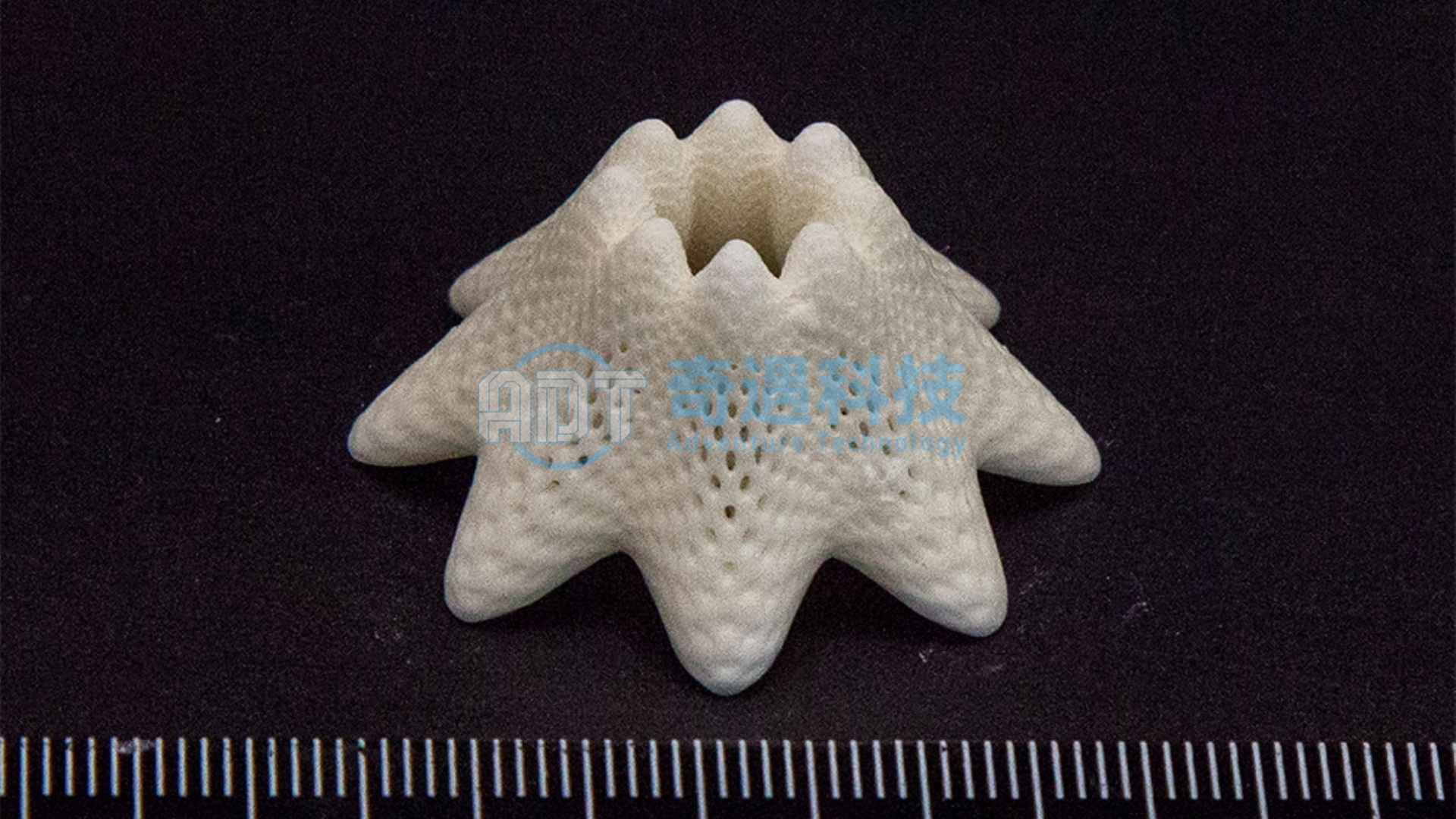 Hollow Octagonal Flower