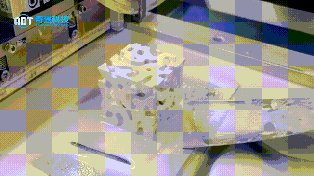 Alumina TPMS Structure Case